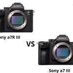 Sony a7 III vs a7R III