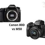 Canon 80D vs M50