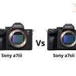 Sony a7iii vs a7sii