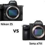 Nikon Z5 vs Sony a7iii