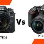 Nikon D5600 vs D7500