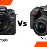 Nikon D5600 vs D7500